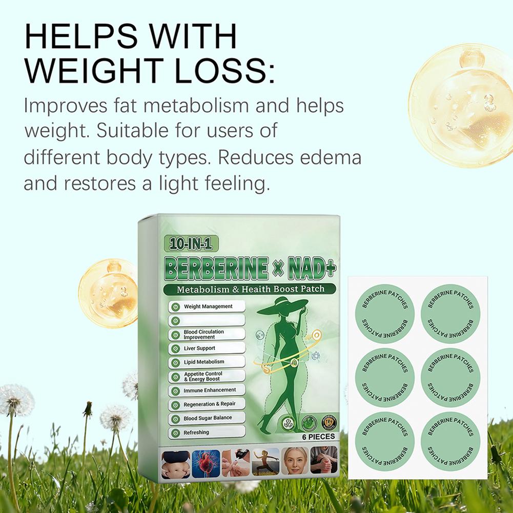 Novo adesivo de assistência ao - Xbody Health & Wellness Wayne Nj avaliação e preço