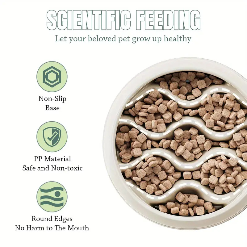 Tigelas de Alimentação Lenta c - Health Wellness Solutions avaliação e preço